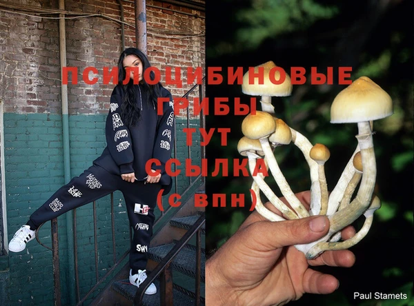 MESCALINE Лабытнанги