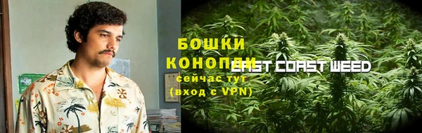 гидра Лагань