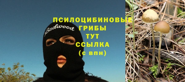 синтетический гашиш Кулебаки